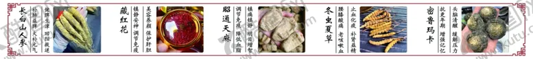 编号：85100803012113315324【酷图网】源文件下载-养生展板