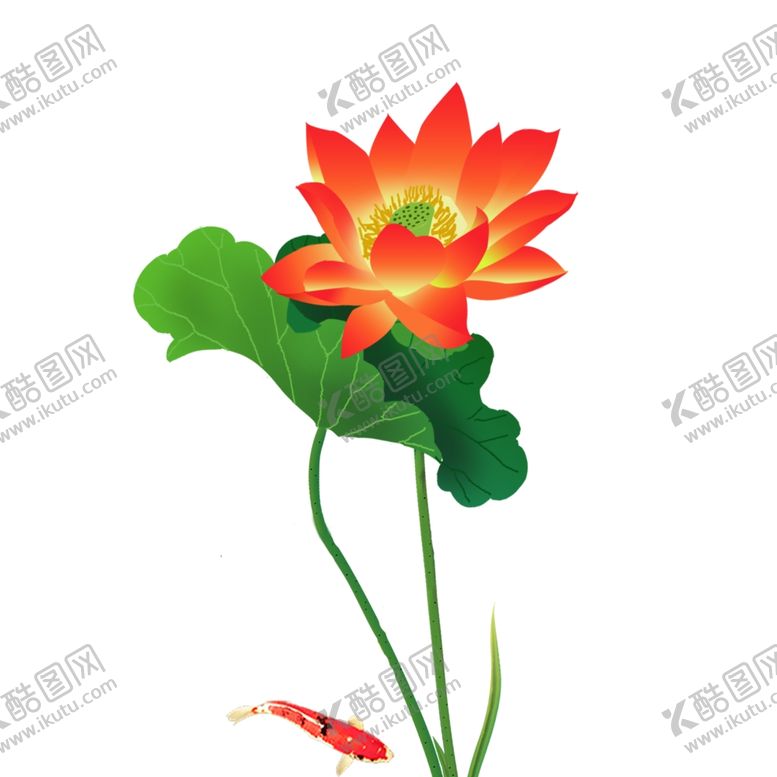 编号：34953209300203505079【酷图网】源文件下载-手绘荷花红荷花鱼廉洁荷花富贵