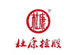 杜康控股logo