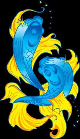 双鱼座星空海报插画