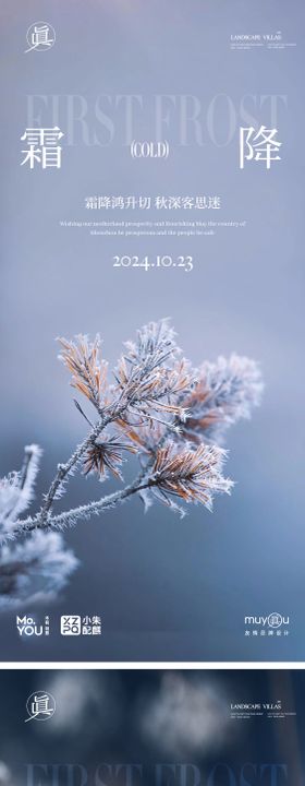 霜降实景节气海报