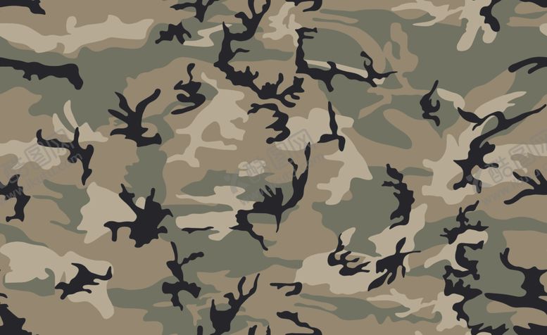 编号：94810811010048422922【酷图网】源文件下载-大迷彩
