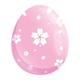 樱花  花瓣 粉色花 小清新