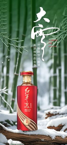 白酒大雪节气海报