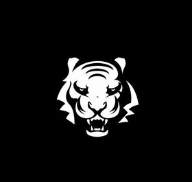 老虎logo图标