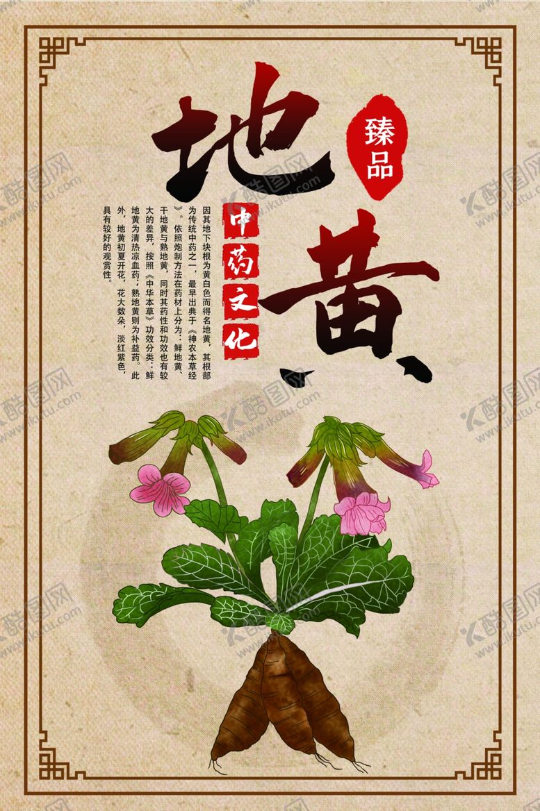 编号：66801404280749095535【酷图网】源文件下载-中药地黄海报