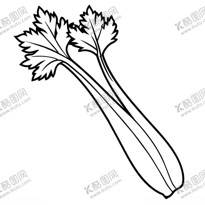 编号：85803902250502378510【酷图网】源文件下载-芹菜线稿
