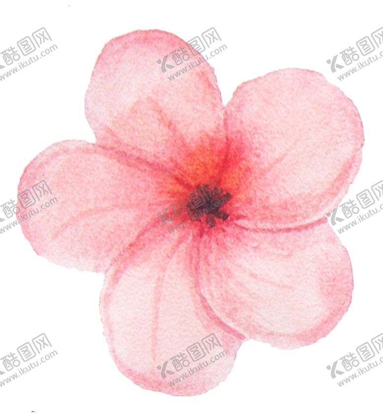 编号：60241610041714456552【酷图网】源文件下载-彩绘水彩花