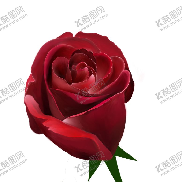 编号：39271109170442266411【酷图网】源文件下载-玫瑰花装饰素材