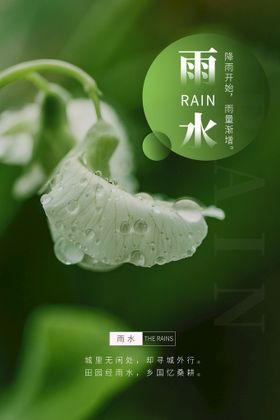 节气雨水微信雨水雨水海报