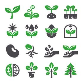 植物相关图标