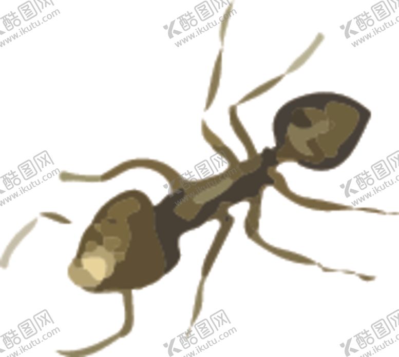 编号：79709807060439572787【酷图网】源文件下载-蚂蚁昆虫插画