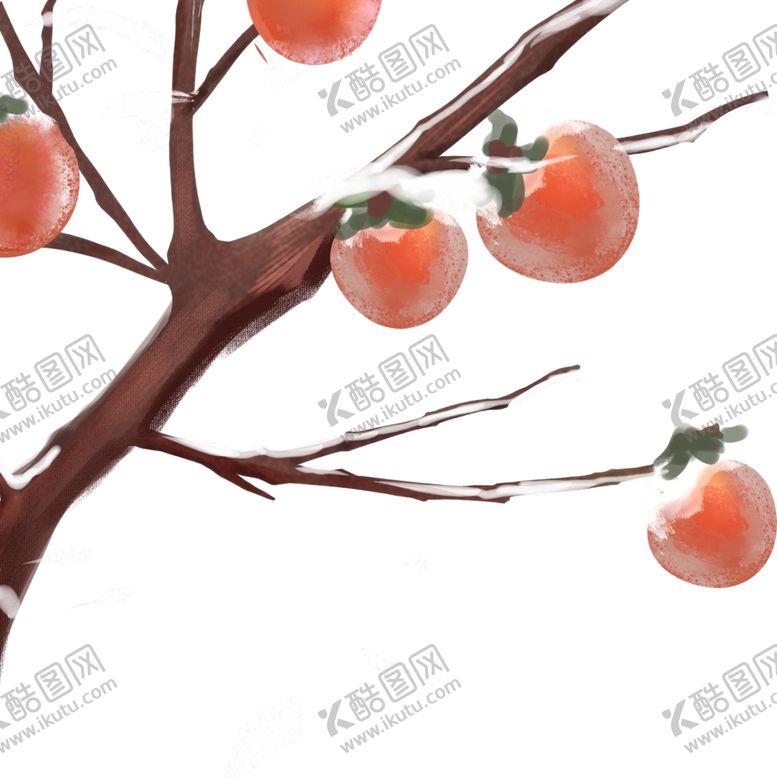 编号：77123807121902191972【酷图网】源文件下载-冬季柿子素材