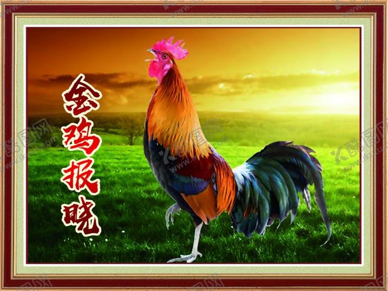 编号：54851909110142456969【酷图网】源文件下载-公鸡