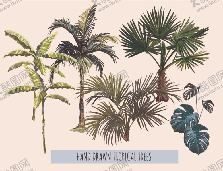 编号：29726009230642421453【酷图网】源文件下载-热带植物