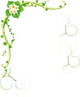 花边素材