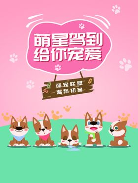 宠物海报店开张店店招服饰猫