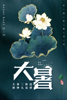 大暑传统节日活动促销宣传海报
