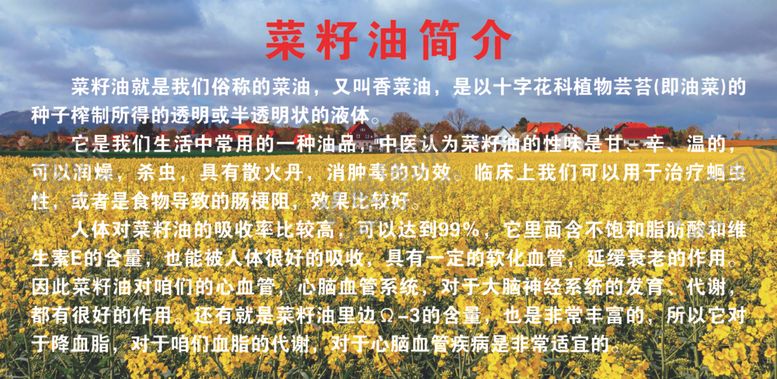 菜籽油简介花吃的好处单