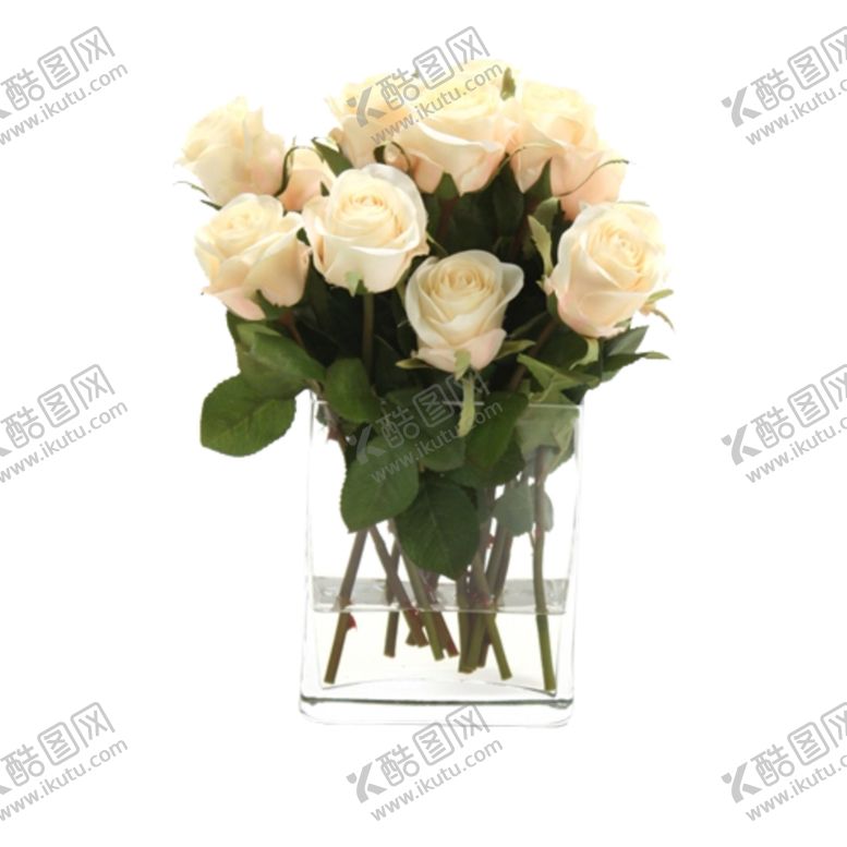 编号：57365207021932546156【酷图网】源文件下载-免抠背景花草树木