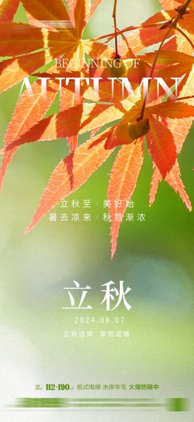 立秋节气海报