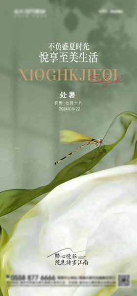 处暑节气海报蜻蜓二十四插画