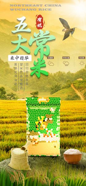 东北五常大米海报