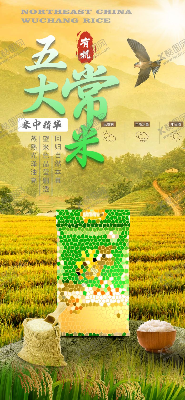 编号：23906206172003496524【酷图网】源文件下载-东北五常大米海报