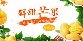 鲜甜芒果开启美味新体验