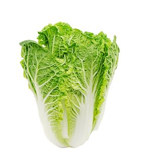 白菜