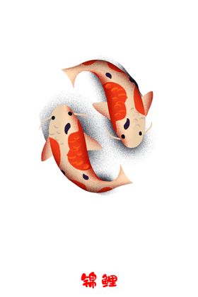 锦鲤