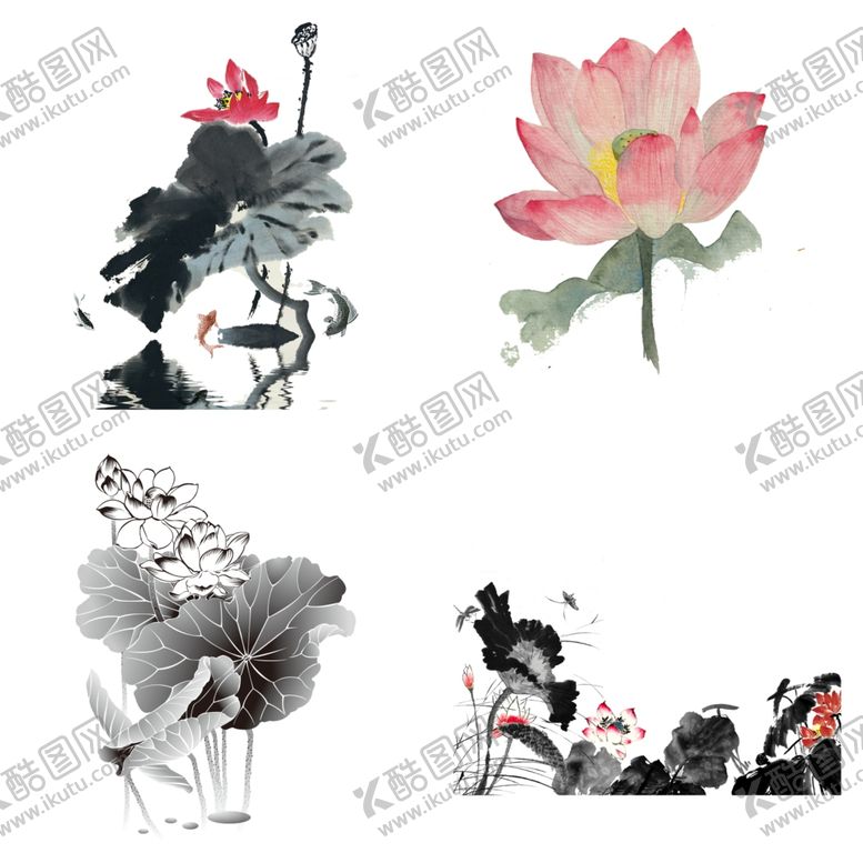 编号：10157201300508218066【酷图网】源文件下载-水墨荷花