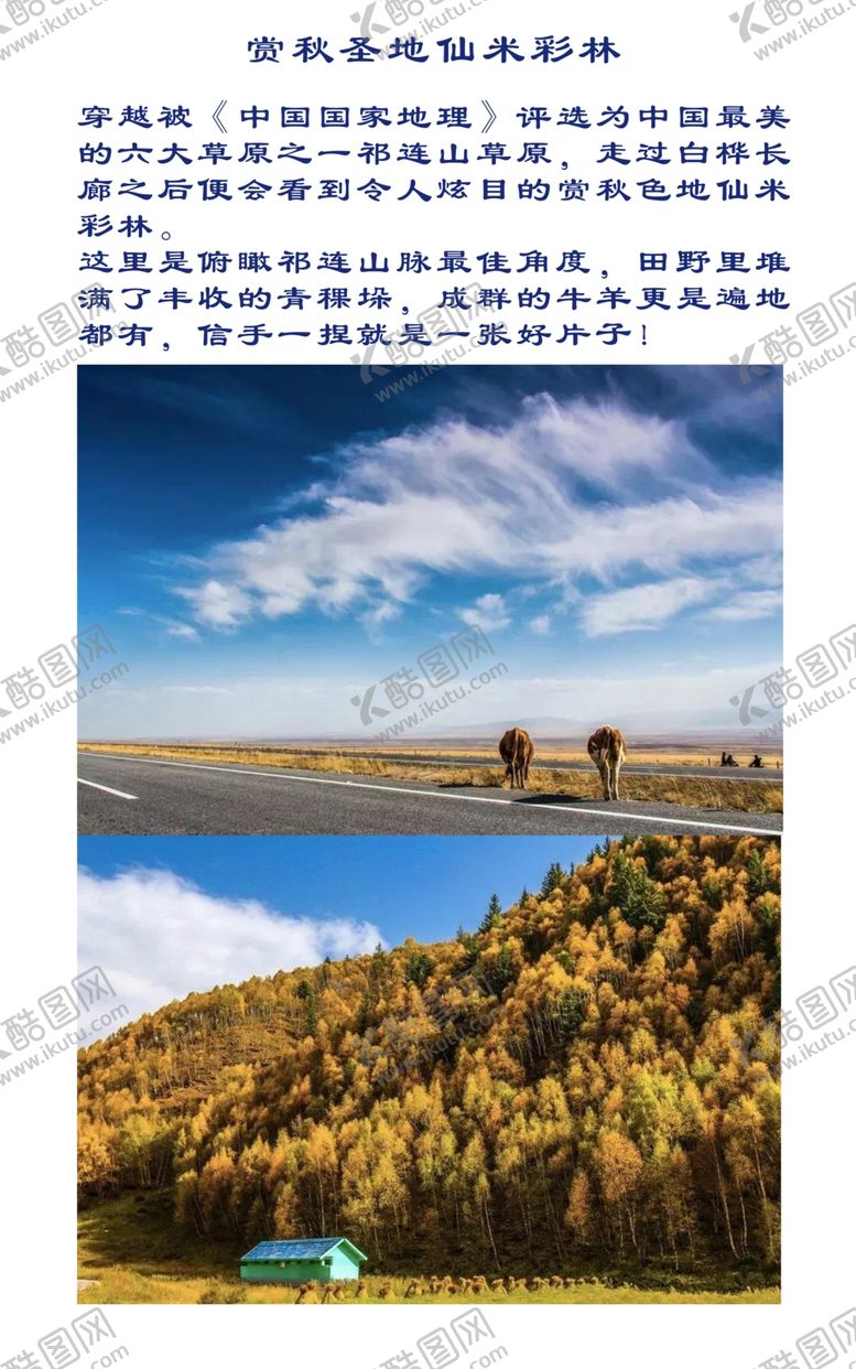编号：30803205021147332082【酷图网】源文件下载-彩林
