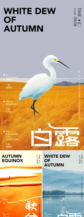 秋天节气海报