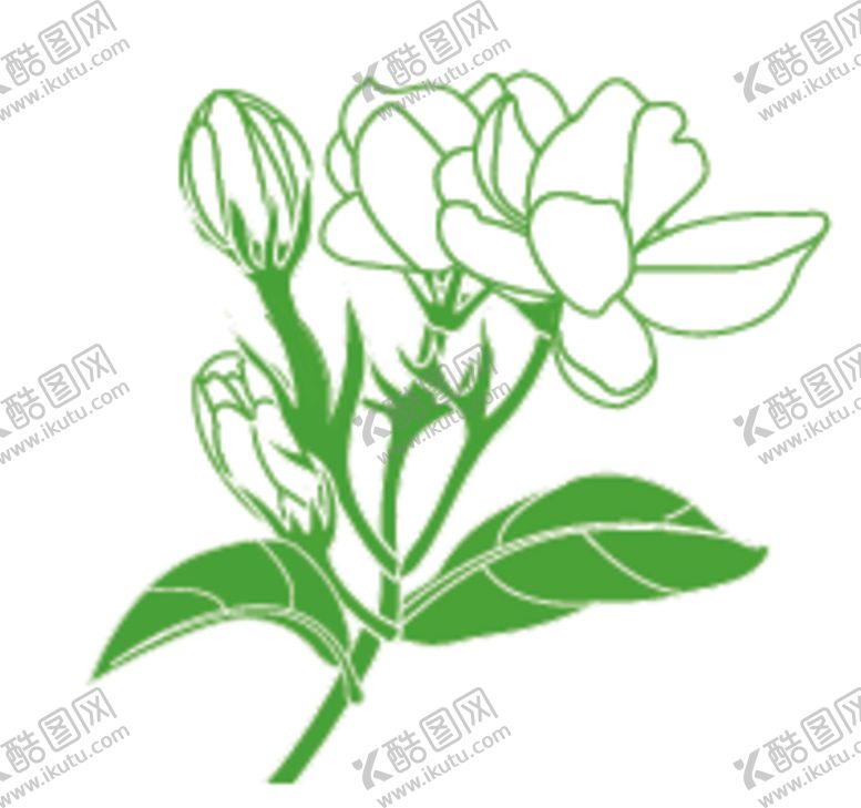 编号：58506401140428219375【酷图网】源文件下载-茉莉花
