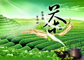 花茶海报 茶叶文化