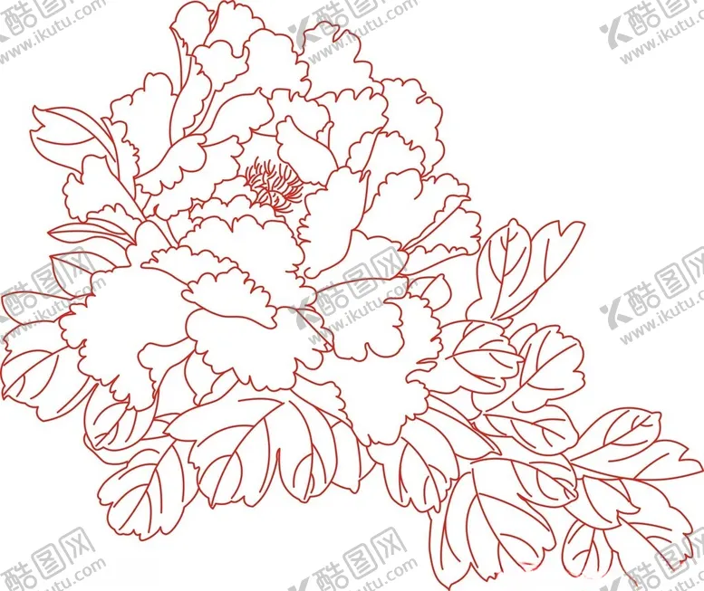 编号：27914602070619377153【酷图网】源文件下载-牡丹