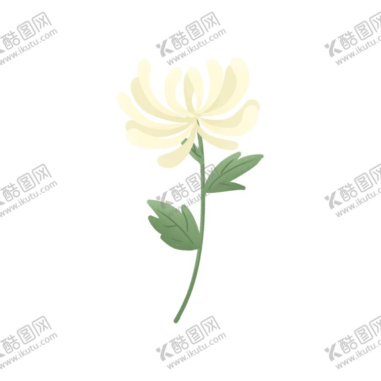 编号：91653807070250135025【酷图网】源文件下载-菊花素材