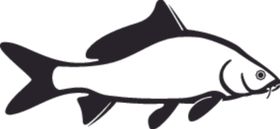 海洋生物系列海鱼