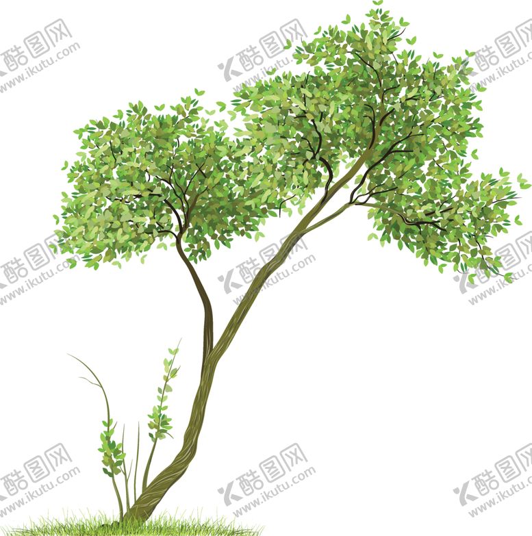 编号：48624810230149509229【酷图网】源文件下载-透明大树png素材