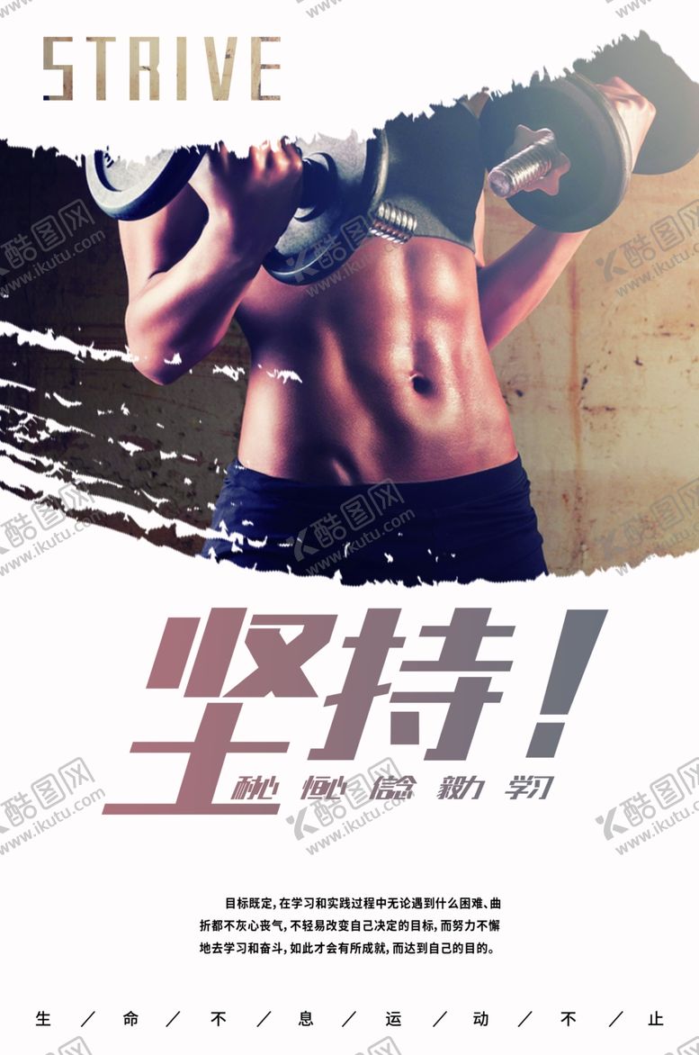 编号：73183006241247112510【酷图网】源文件下载-健身房海报