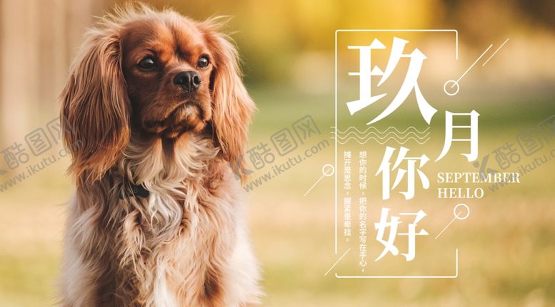 编号：10795209250047559377【酷图网】源文件下载-九月你好