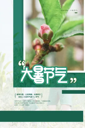 大暑二十四节气朋友圈莲花夏天