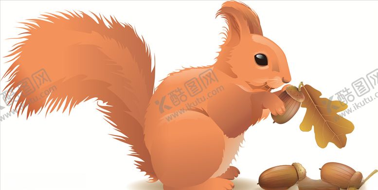 编号：34178505161452462252【酷图网】源文件下载-松鼠