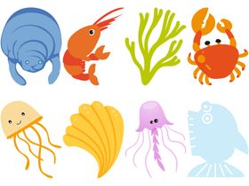 海洋生物草水草鲜