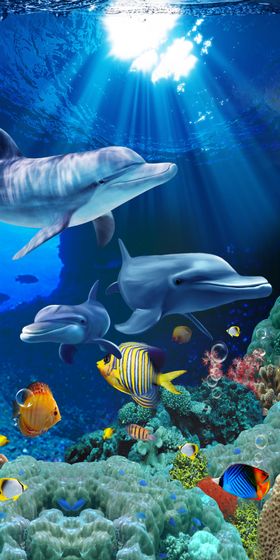海底世界洋背景水族鲨鱼鲨