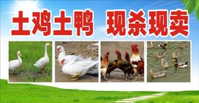 熟菜店软灯箱广告 鸡鸭鱼剪影 