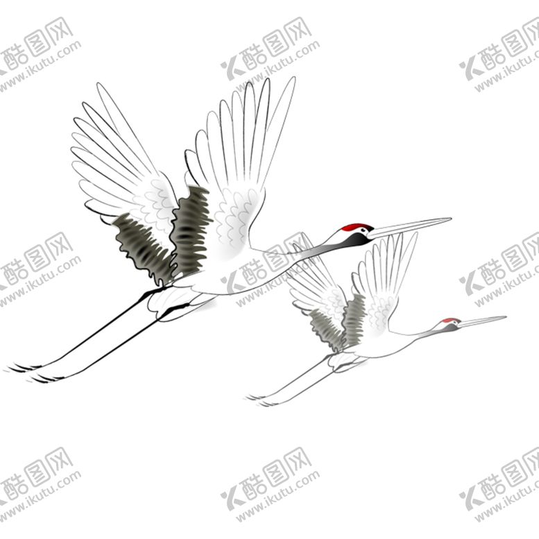 编号：26921507022301367929【酷图网】源文件下载-中国风白鹤