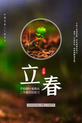 立春插画图片花丛梦境中国风天