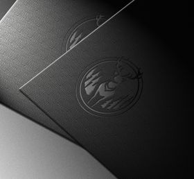 LOGO效果图样机图片光盘铅笔提案logo